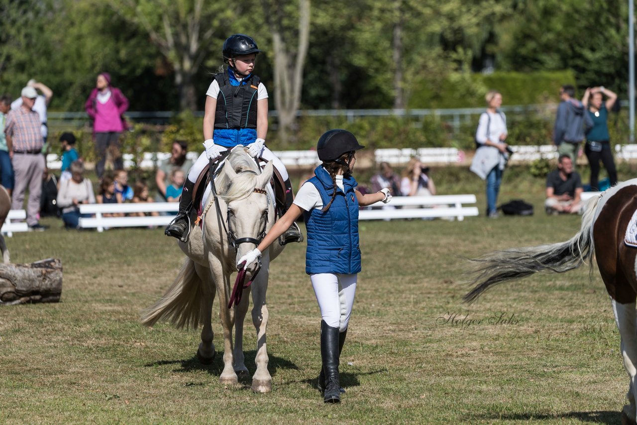 Bild 5 - Pony Akademie Turnier